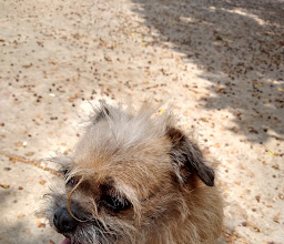 Albania Alta Park photo