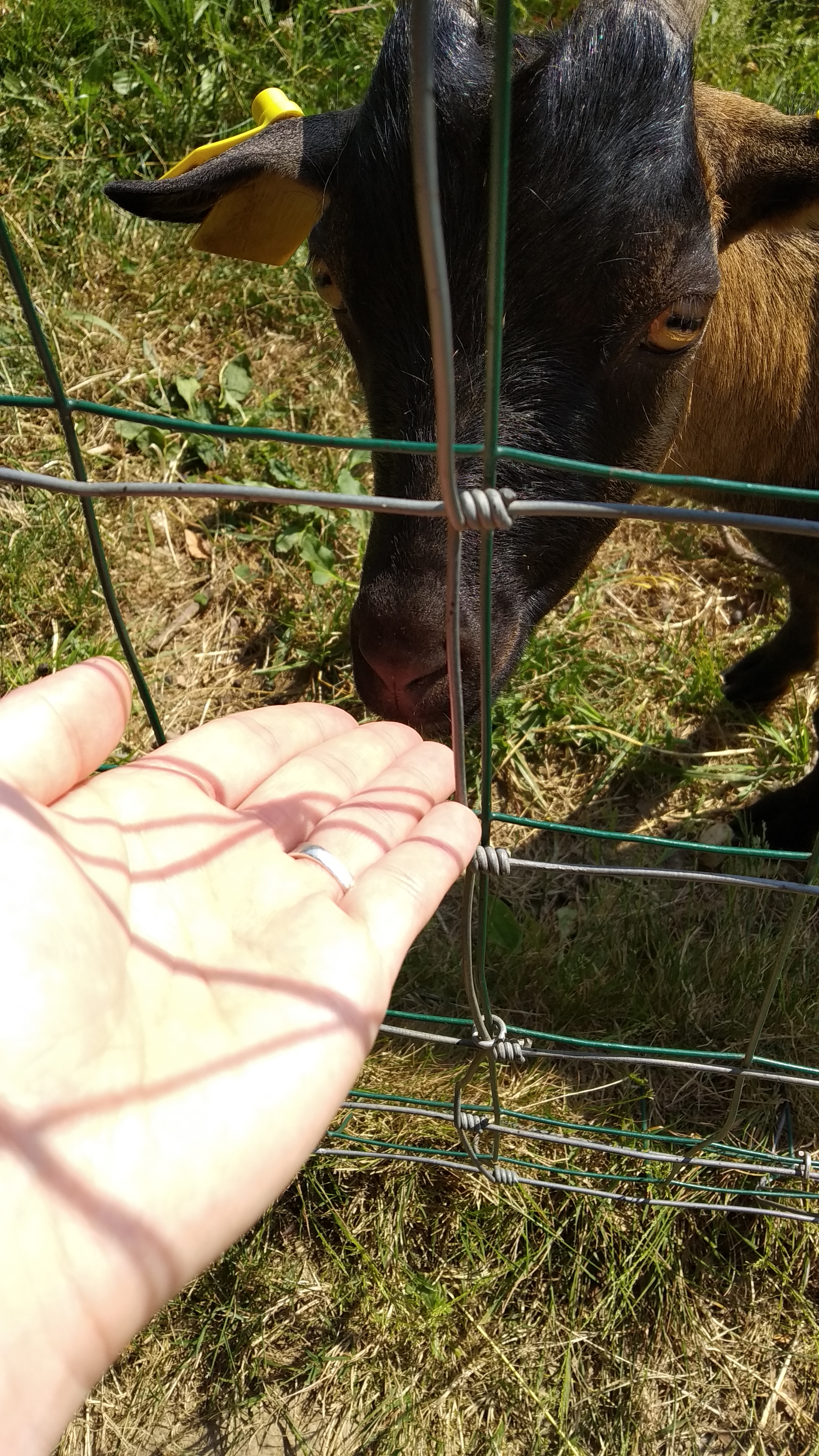 Photo n° 3 de l'avis de Emeline.. fait le 04/07/2019 à 09:32