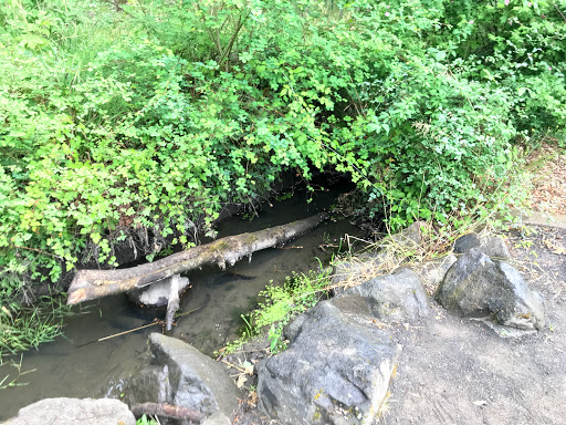 Park «Pioneer Park», reviews and photos, 14545 NW Pioneer Rd, Beaverton, OR 97006, USA