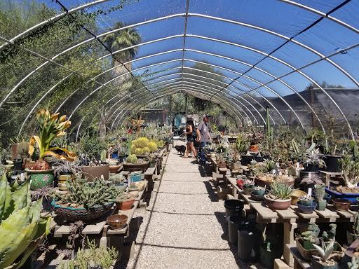Plants For The Southwest