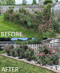 Elite Property Renewal LLC - Photo 5 - Car repair in , South Bend