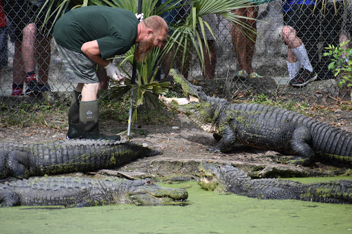 Tourist Attraction «Jungle Adventures, A Real Florida Animal Park», reviews and photos, 26205 E Colonial Dr, Christmas, FL 32709, USA