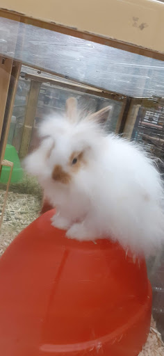 Pet Supply Store «Pet Supermarket», reviews and photos, 534 S Hunt Club Blvd, Apopka, FL 32703, USA