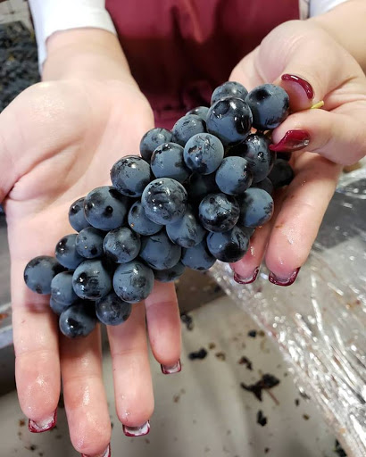 Winery «wineUdesign», reviews and photos, 156 Engineers Dr, Hicksville, NY 11801, USA