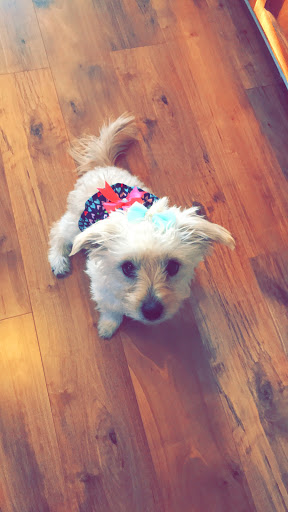 Pet Supply Store «Pet Supplies Plus», reviews and photos, 2982 S Illinois 83, Mundelein, IL 60060, USA