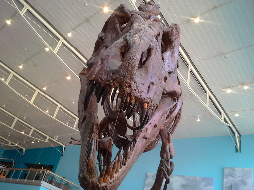 Imax Theater «IMAX at the Maryland Science Center», reviews and photos, 601 Light St, Baltimore, MD 21230, USA