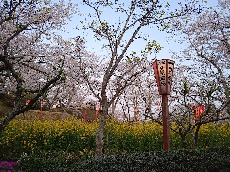 小見川城山公園 千葉県香取市 公園 公園 グルコミ