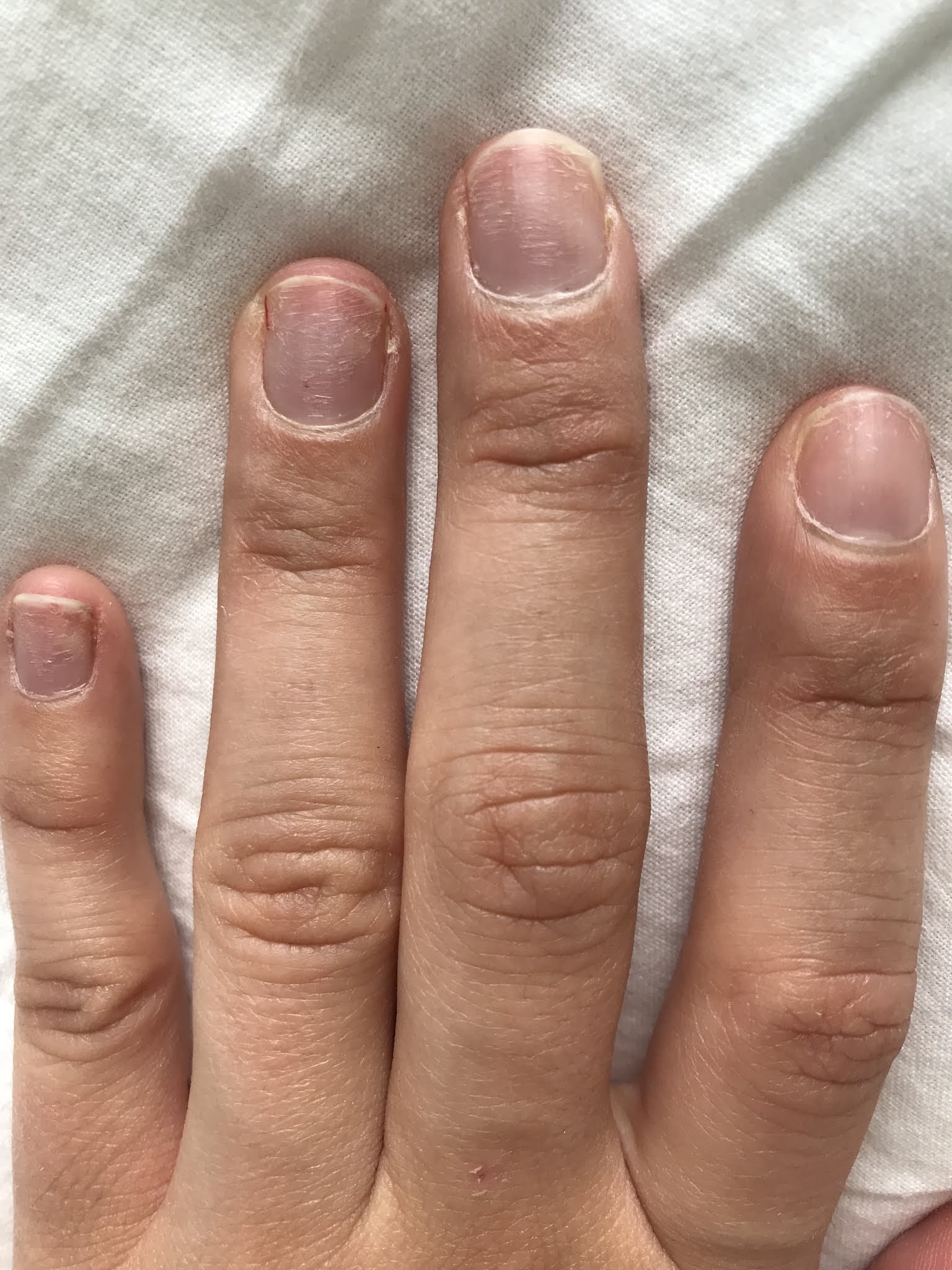 Photo n° 3 de l'avis de Chloé.a fait le 16/09/2019 à 07:29