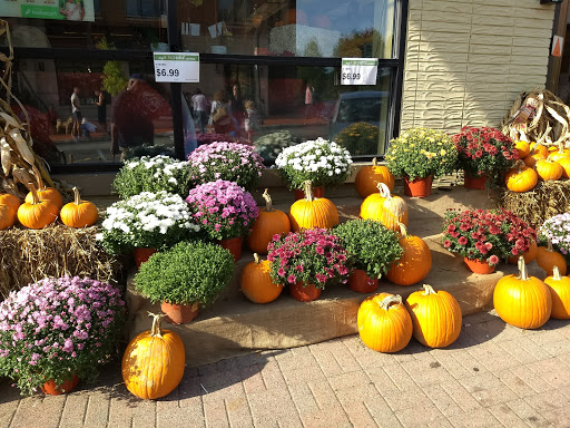 Supermarket «Kings Food Markets», reviews and photos, 159 Maplewood Ave, Maplewood, NJ 07040, USA