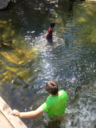 Cuesta Canyon Park image