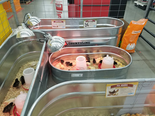 Home Improvement Store «Tractor Supply Co.», reviews and photos, 82 Turnpike Rd, Ipswich, MA 01938, USA