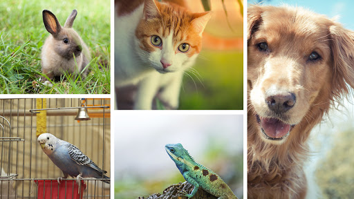 9850 FL A1AAlt #507, Palm Beach Gardens, FL 33410, USA