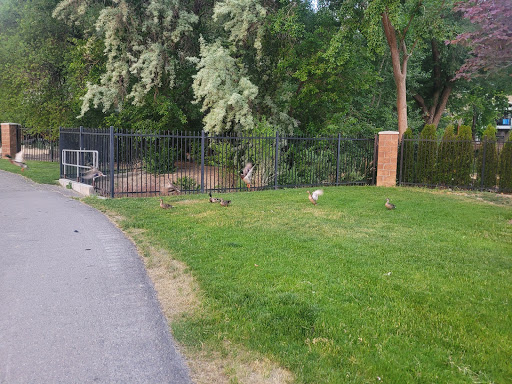 Park «Manila Creek Park», reviews and photos, 706 W 3300 N, Pleasant Grove, UT 84062, USA