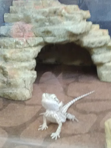 Pet Supply Store «PetSmart», reviews and photos, 10697 E US Hwy 36, Avon, IN 46123, USA