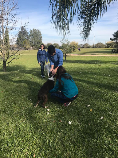 Kennel Club Uruguayo