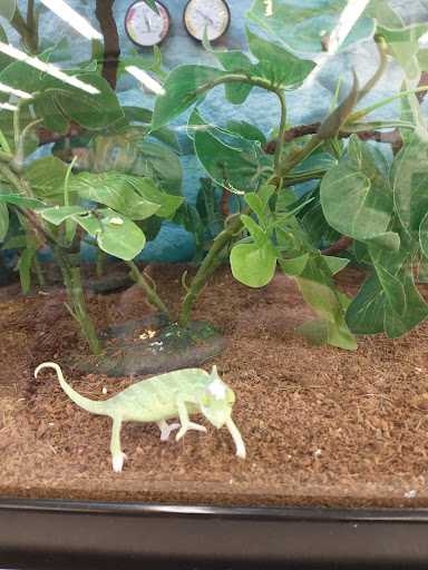 Pet Supply Store «Petco Animal Supplies», reviews and photos, 5601 Brodie Ln, Sunset Valley, TX 78745, USA