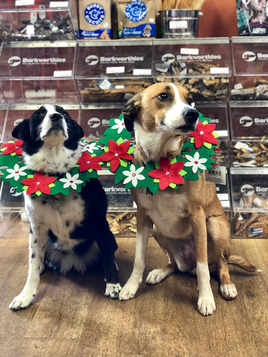 Pet Supply Store «EarthWise Pet Supply», reviews and photos, 266 Mt Hermon Rd, Scotts Valley, CA 95066, USA