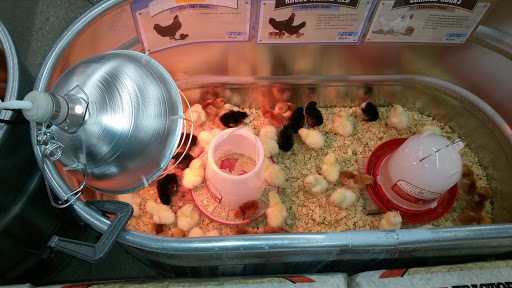 Home Improvement Store «Tractor Supply Co.», reviews and photos, 2050 False River Dr Suite A, New Roads, LA 70760, USA