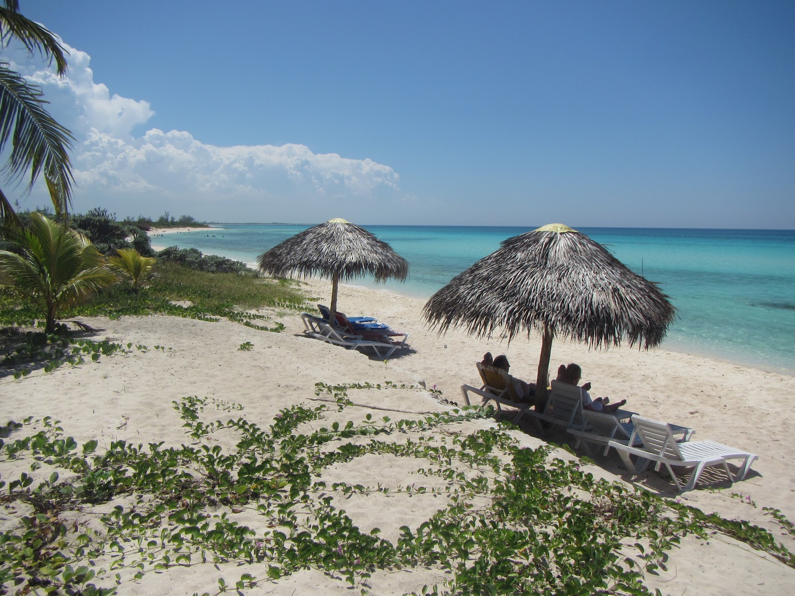 Playa Brisas Covarrubias的照片 带有碧绿色水表面