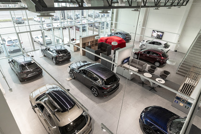 BMG Goworowski Autoryzowany Dealer Mazda - Gdynia