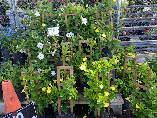 Hardware Store «Hagan Ace», reviews and photos, 3050 US-1, St Augustine, FL 32086, USA