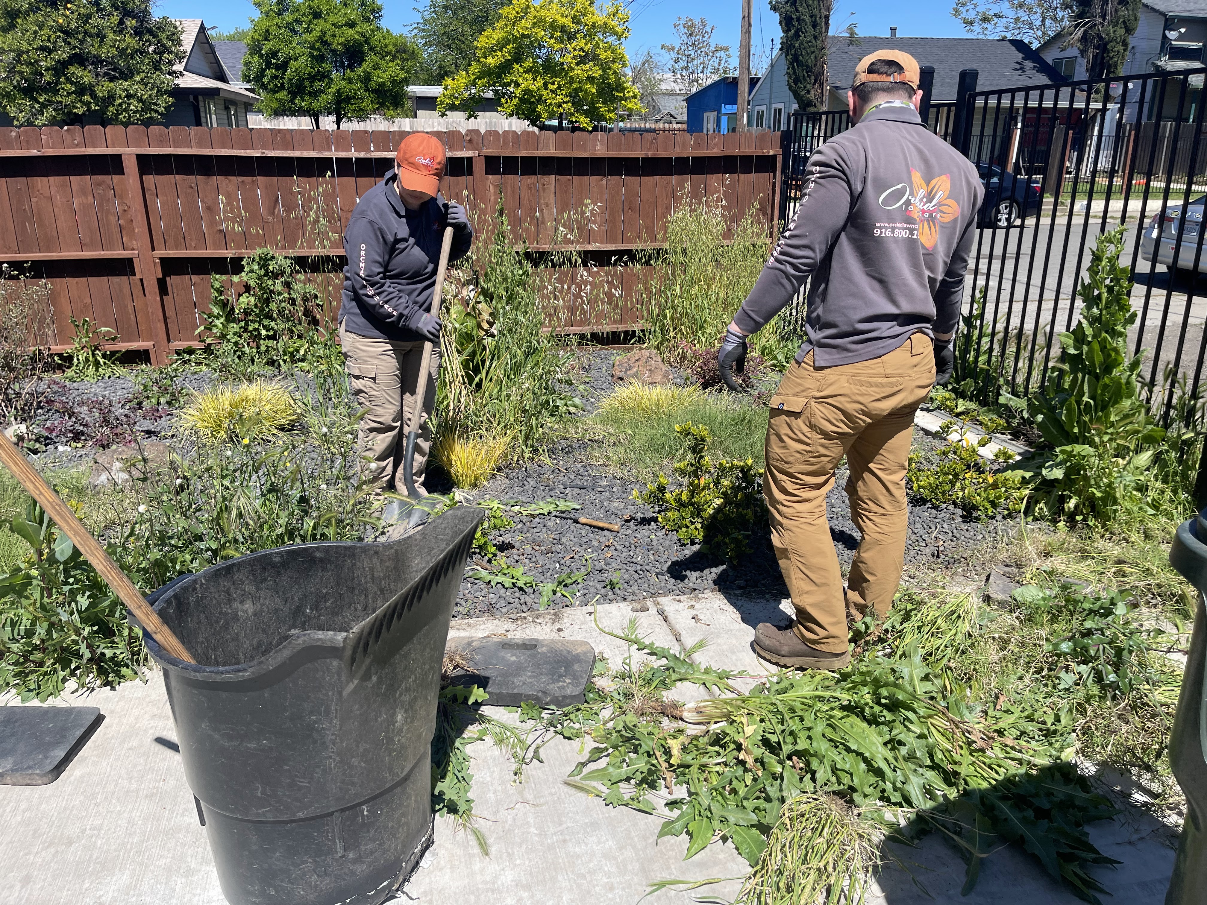 Orchid Lawn Care — photo 1