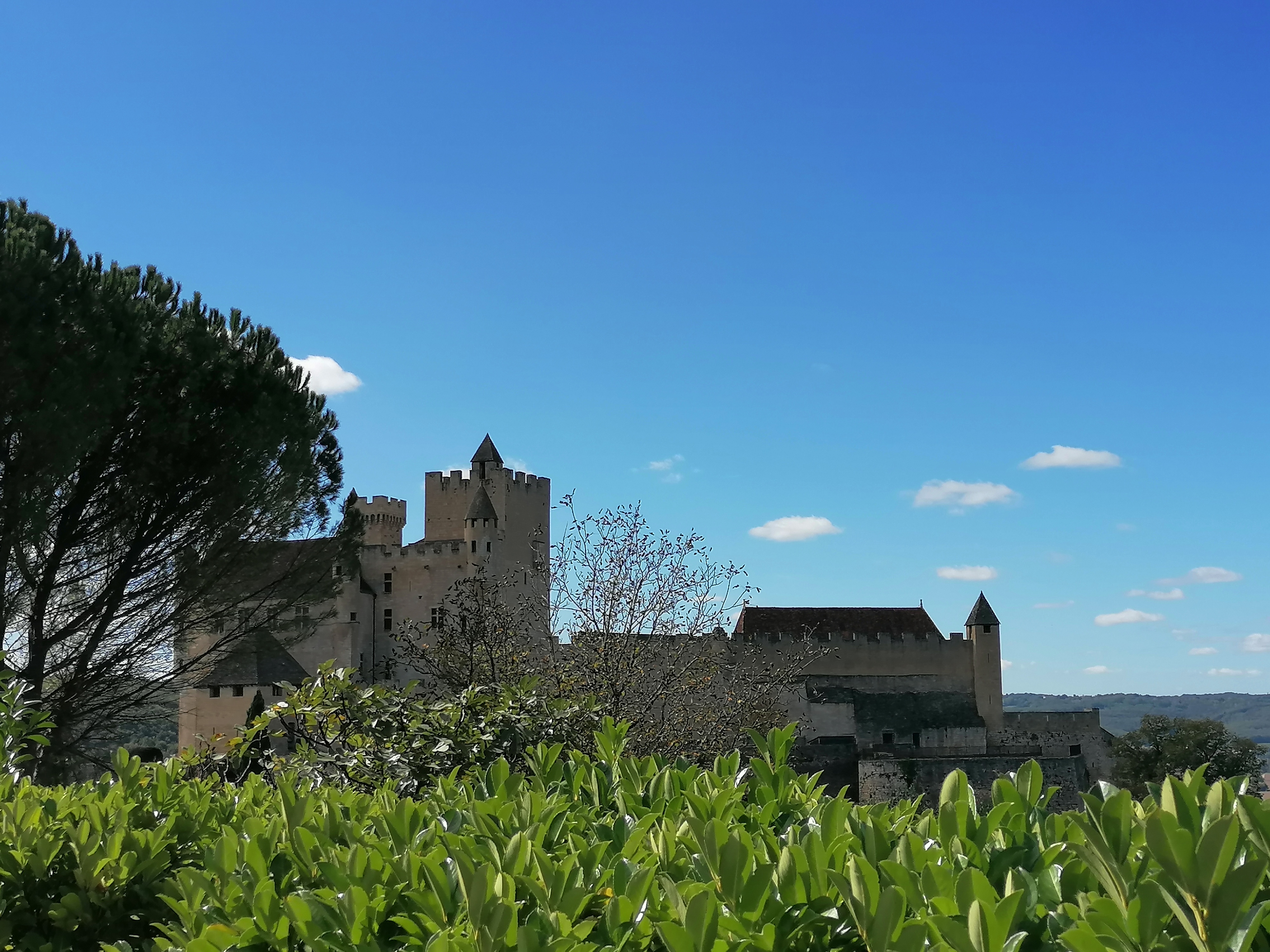 Photo n° 7 de l'avis de choji.a fait le 03/10/2023 à 11:02