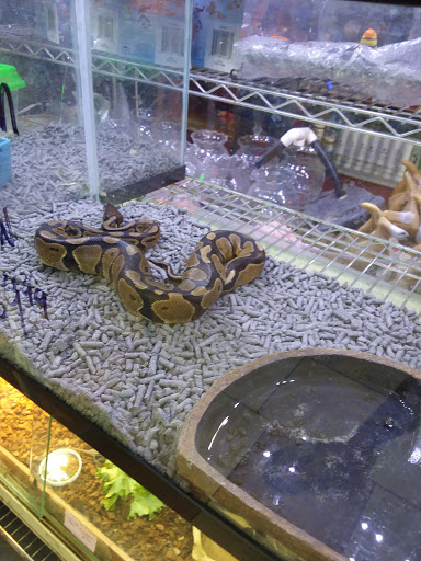 Pet Store «Fish-N-Pets Unlimited», reviews and photos, 11710 Bissonnet St, Houston, TX 77099, USA