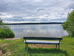Photo de Badestelle Petzow avec un rivage droit