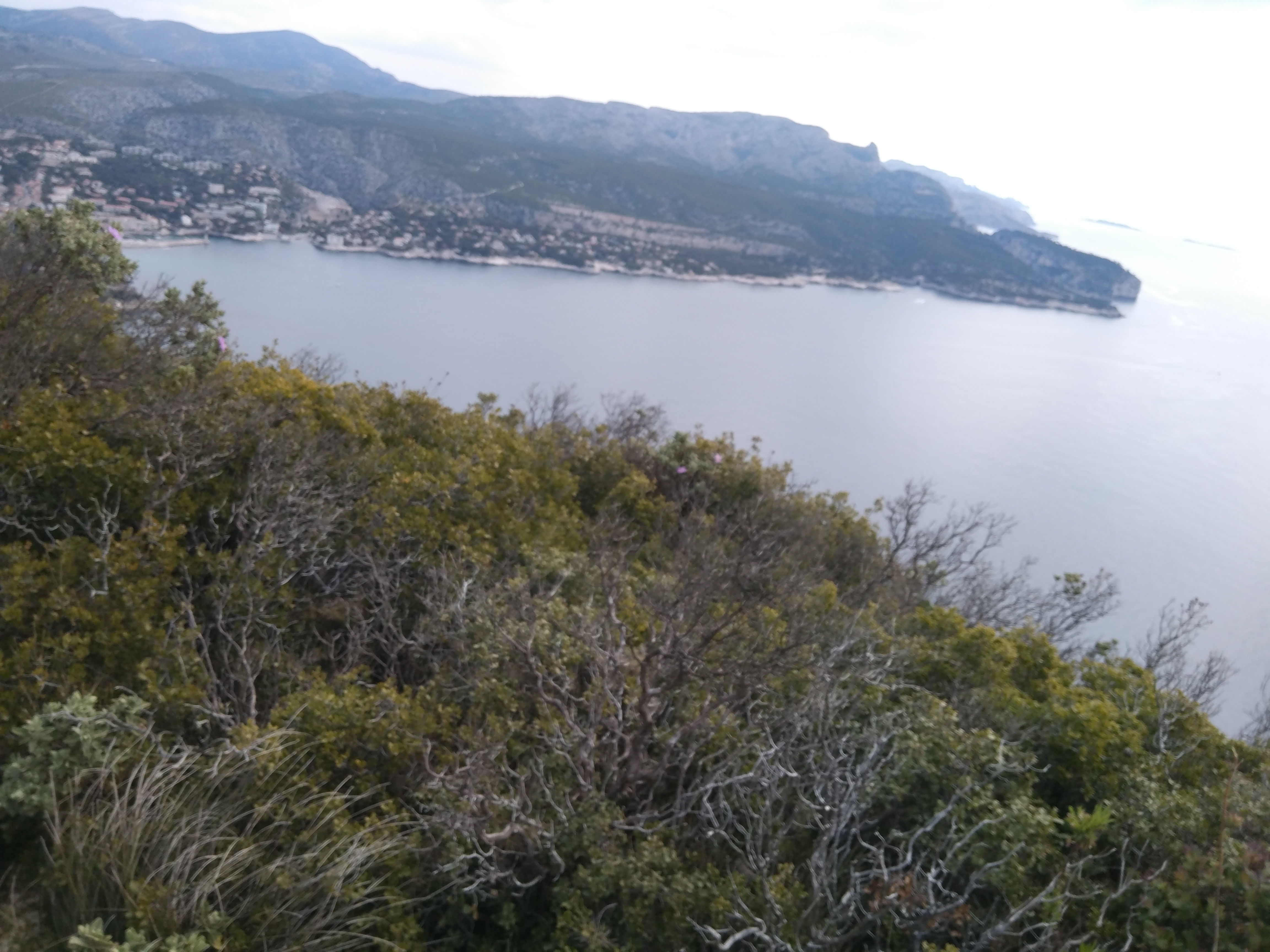 Photo n° 1 de l'avis de Jonathan.r fait le 16/04/2019 à 14:49