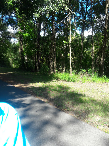 Park «McDade Park», reviews and photos, 3750 FM 2854 Rd, Conroe, TX 77304, USA