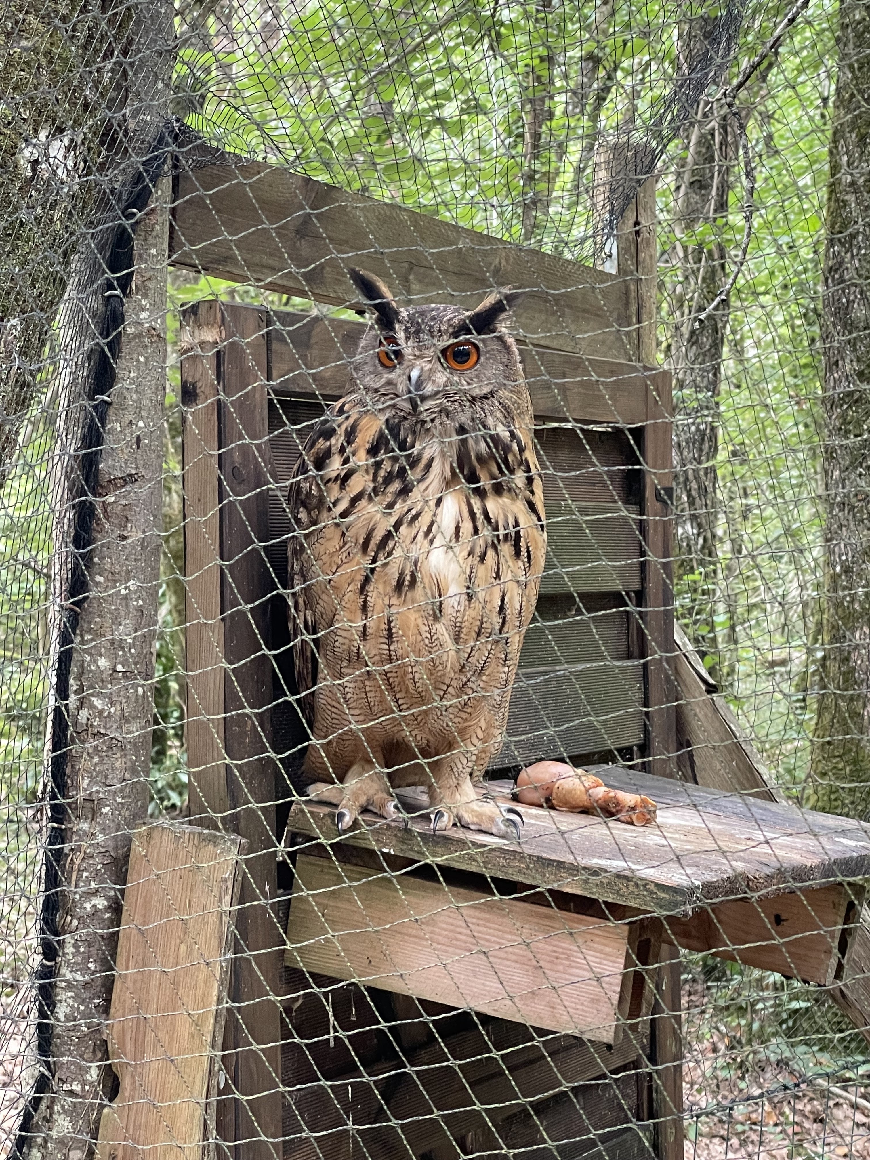 Photo n° 1 de l'avis de Saïd.l fait le 03/08/2021 à 16:42