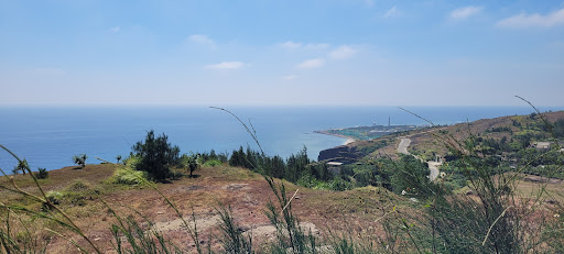 Top 20 cửa hàng akemi Huyện Lý Sơn Quảng Ngãi 2022