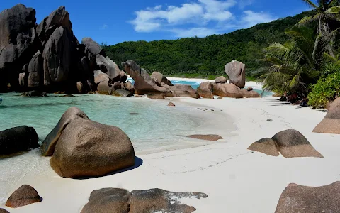 Anse Cocos beach image