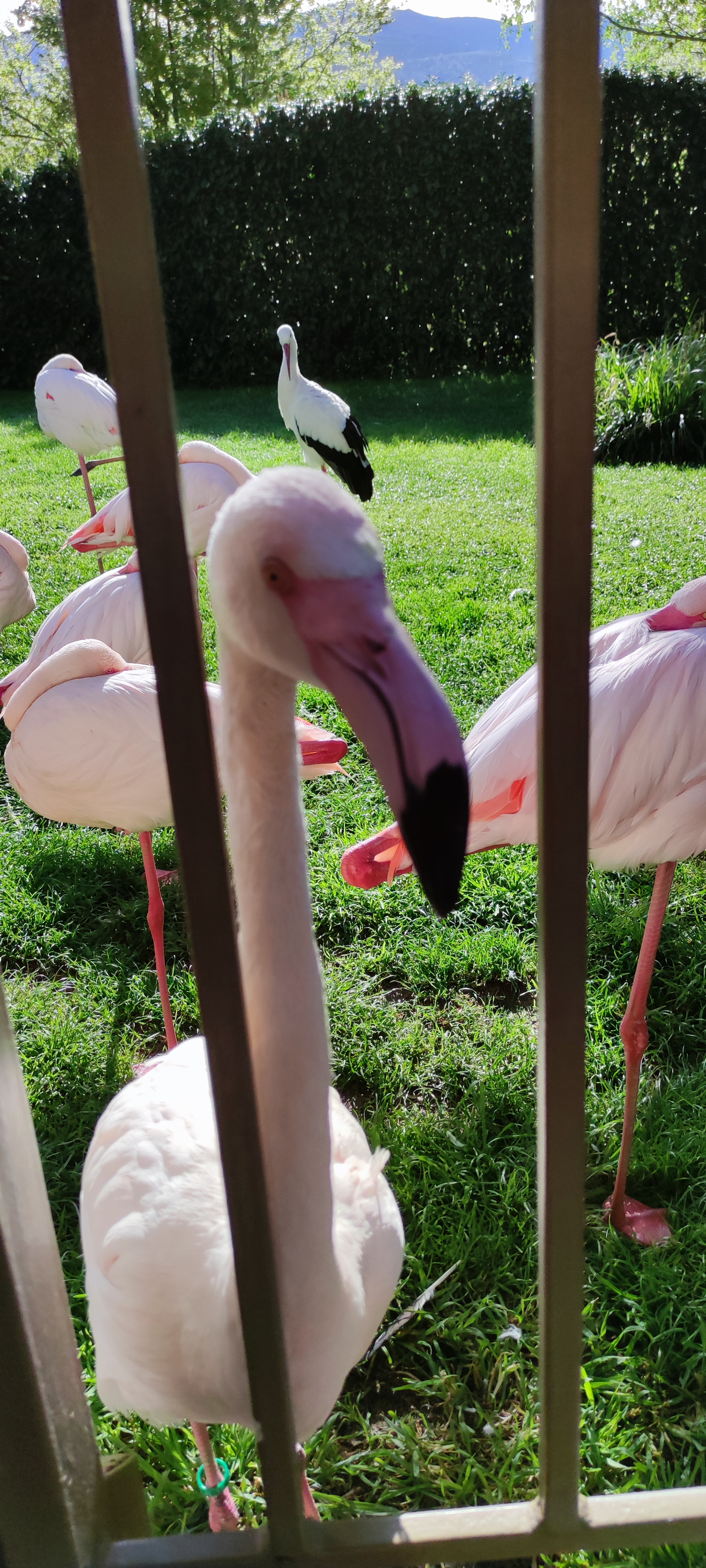 Photo n° 14 de l'avis de Aurélie.i fait le 15/07/2021 à 17:00