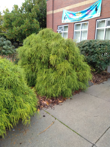 Community Center «Miller Community Center», reviews and photos, 330 19th Ave E, Seattle, WA 98112, USA