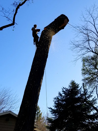 Father & Son Tree Service