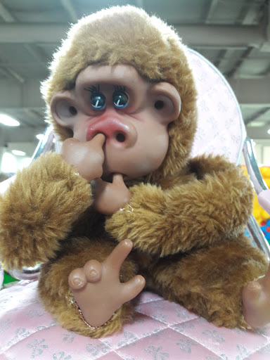 Thrift Store «Red Racks & Dav Thrift Stores», reviews and photos, 2855 S Kansas Expy, Springfield, MO 65807, USA