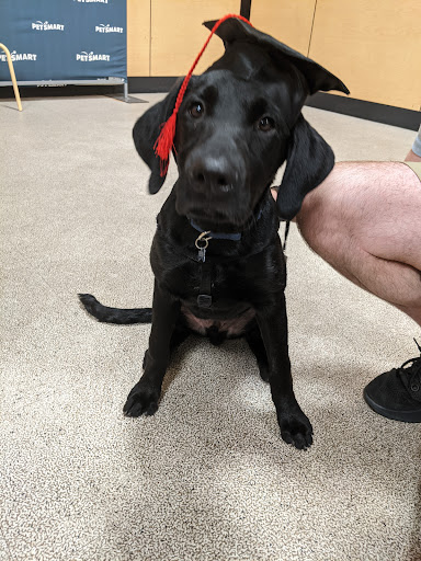 Pet Supply Store «PetSmart», reviews and photos, 32962 FM 2978 Rd, Magnolia, TX 77354, USA