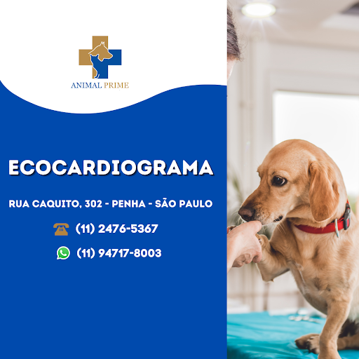 Veterinary Animal Hospital Prime em São Paulo - SP
