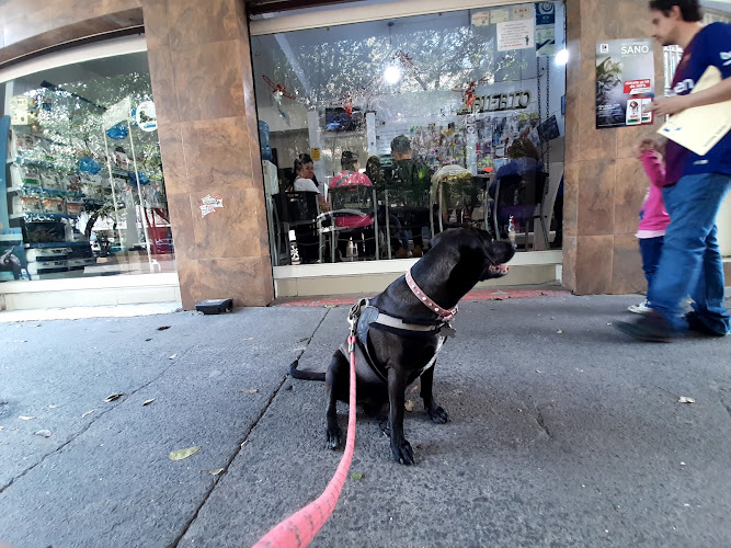 Hospital Veterinario Peques