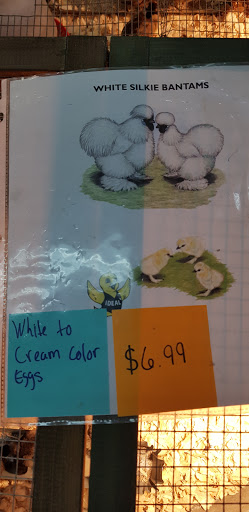 Animal Feed Store «Locke Hill Feed, Pet, & Lawn Supply», reviews and photos, 4927 Golden Quail #105, San Antonio, TX 78240, USA