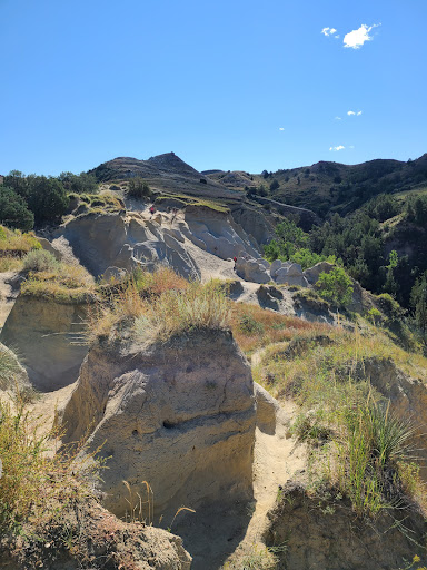 National Park «Theodore Roosevelt National Park», reviews and photos