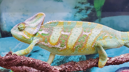 Pet Supply Store «Petco Animal Supplies», reviews and photos, 18578 Coastal Hwy #12, Rehoboth Beach, DE 19971, USA