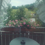 Photo n°4 de l'avis de Bayan.h fait le 13/03/2022 à 18:25 sur le  Hotel Schwörer mit Restaurant à Lenzkirch