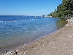 Photo de Naturstrand Manzell zone sauvage