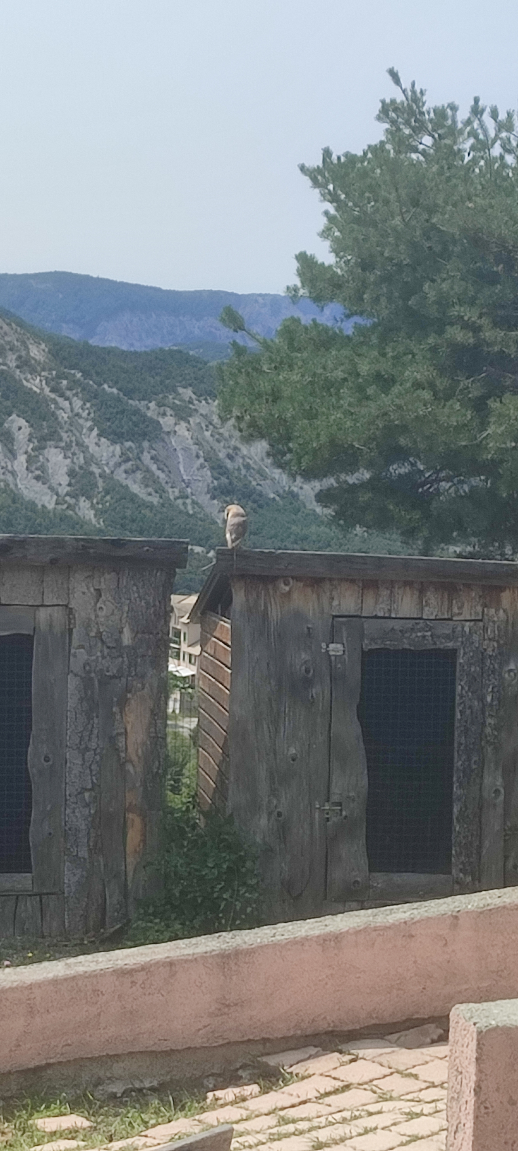 Photo n° 5 de l'avis de Sandra.o fait le 22/07/2023 à 13:04