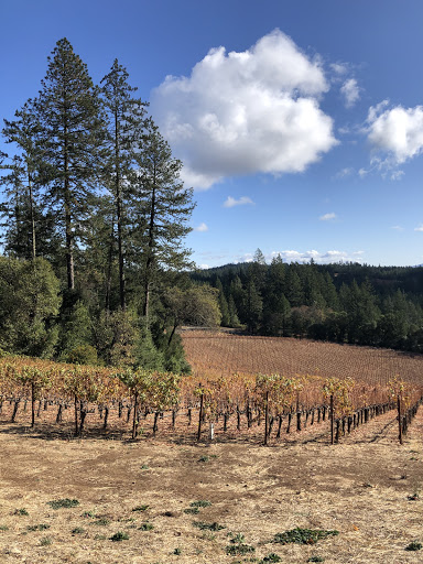 Winery «CADE Estate Winery», reviews and photos, 1234 Adams St, St Helena, CA 94574, USA