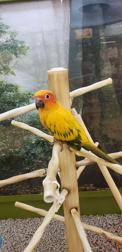 Pet Supply Store «Petco Animal Supplies», reviews and photos, 239 Newburyport Turnpike, Topsfield, MA 01983, USA