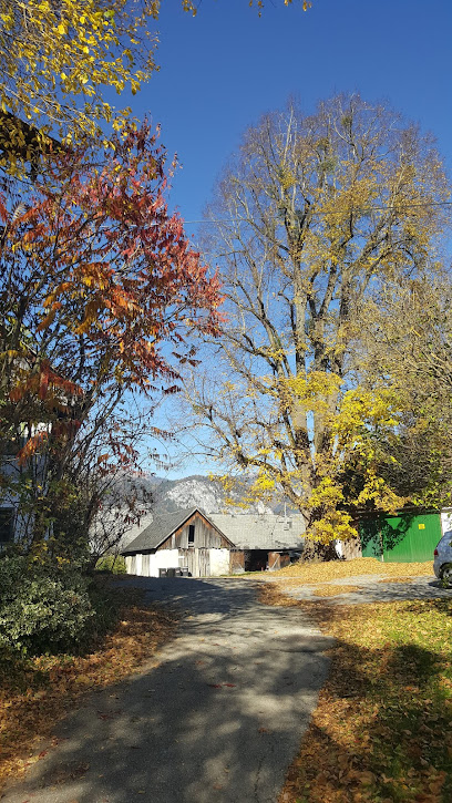 Zentrum an der Linde